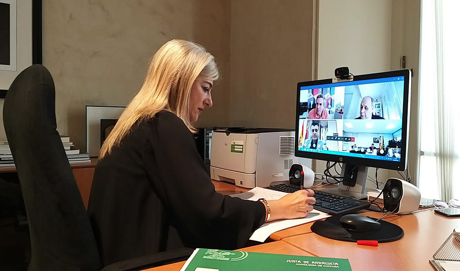 Patricia del Pozo, en un momento de la Conferencia Sectorial de Cutura, que se ha celebrado de forma telemática.